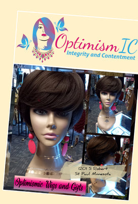 Gina Brown Synthetic glueless Short Wigs $25 Optimismic Wigs and Gifts West St Paul MN